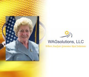 WAGSolutions