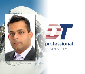 DT Professional Services