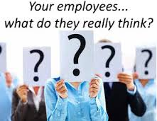 Employee Survey