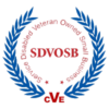 SDVOSB